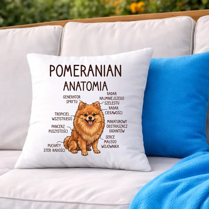 Pomeranian - anatomia - poduszka na prezent