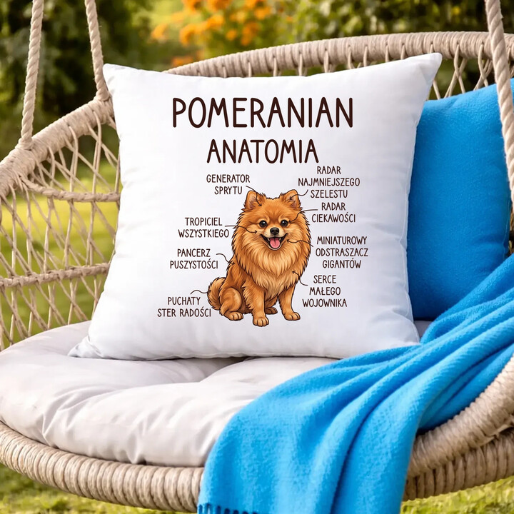 Pomeranian - anatomia - poduszka na prezent