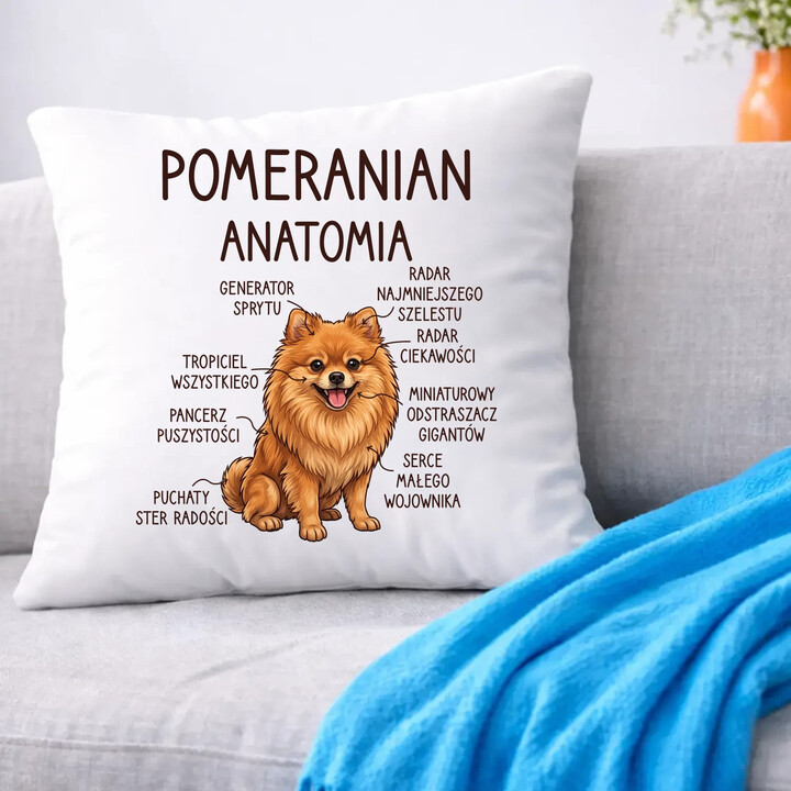 Pomeranian - anatomia - poduszka na prezent