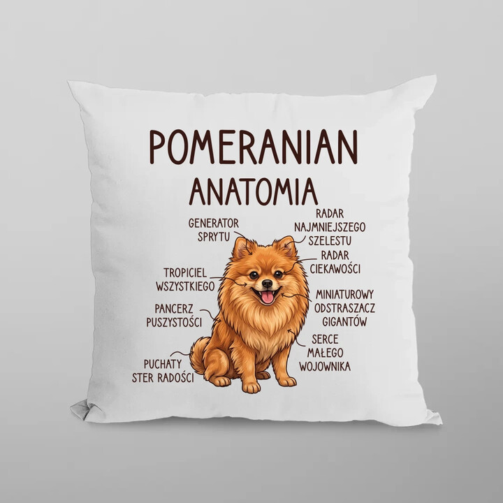 Pomeranian - anatomia - poduszka na prezent