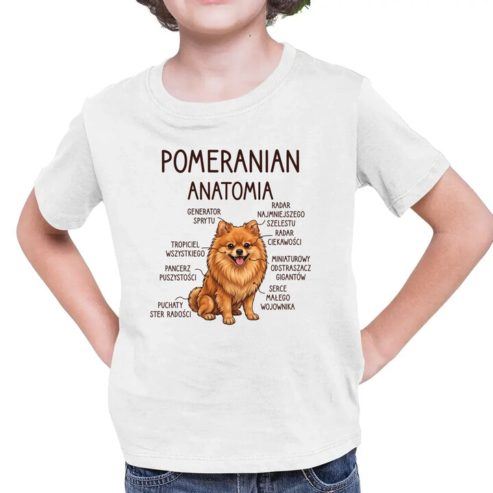 Pomeranian - anatomia - dziecięca koszulka na prezent