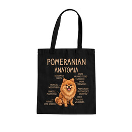 Pomeranian - anatomia - torba na prezent
