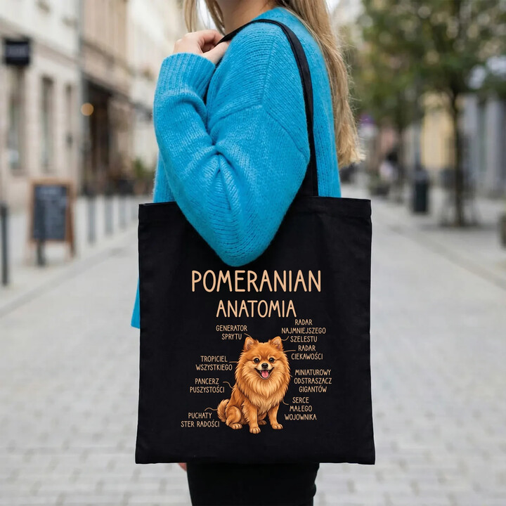 Pomeranian - anatomia - torba na prezent