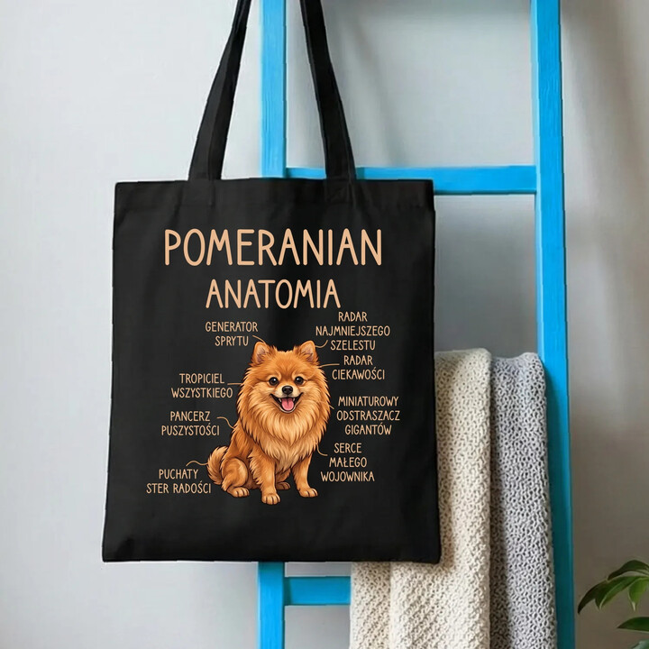 Pomeranian - anatomia - torba na prezent