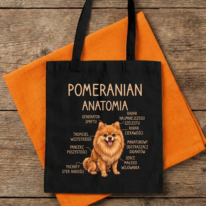 Pomeranian - anatomia - torba na prezent