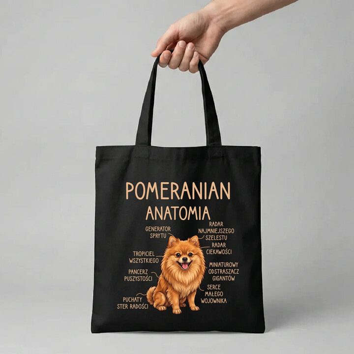 Pomeranian - anatomia - torba na prezent