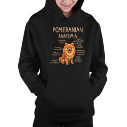 Pomeranian - anatomia - dziecięca bluza na prezent