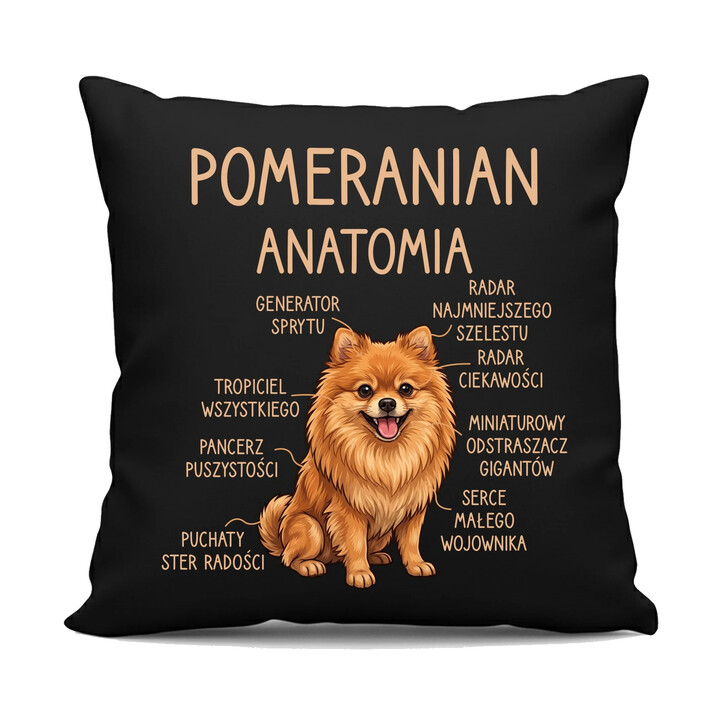 Pomeranian - anatomia - czarna poduszka na prezent