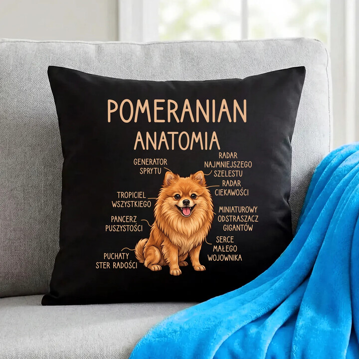 Pomeranian - anatomia - czarna poduszka na prezent