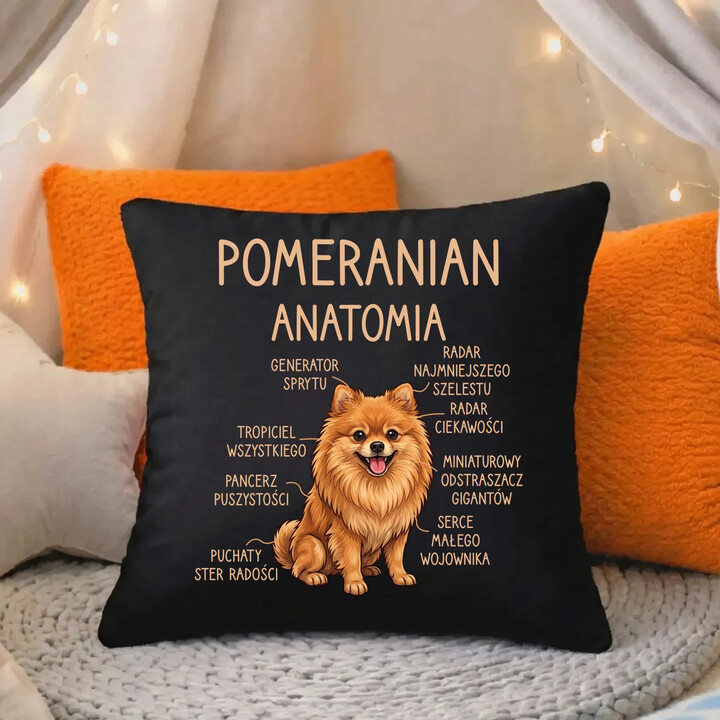Pomeranian - anatomia - czarna poduszka na prezent