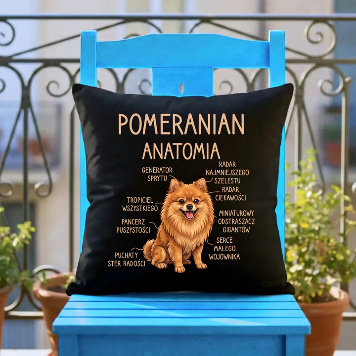Pomeranian - anatomia - czarna poduszka na prezent
