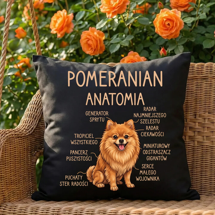 Pomeranian - anatomia - czarna poduszka na prezent