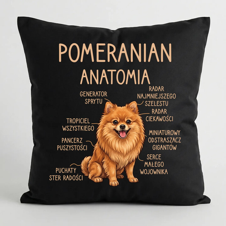 Pomeranian - anatomia - czarna poduszka na prezent