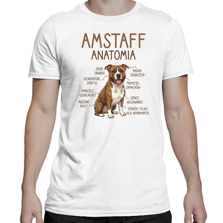 Amstaff anatomia - męska koszulka na prezent