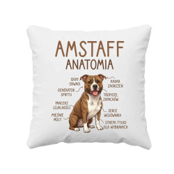 Amstaff anatomia - poduszka na prezent