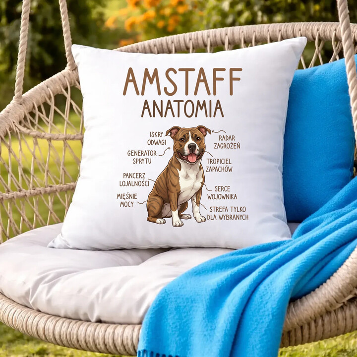 Amstaff anatomia - poduszka na prezent