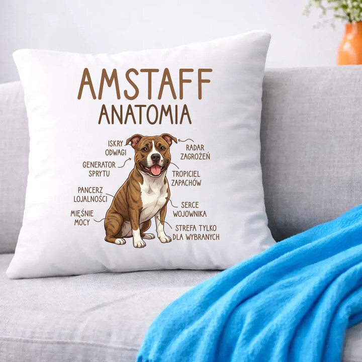 Amstaff anatomia - poduszka na prezent