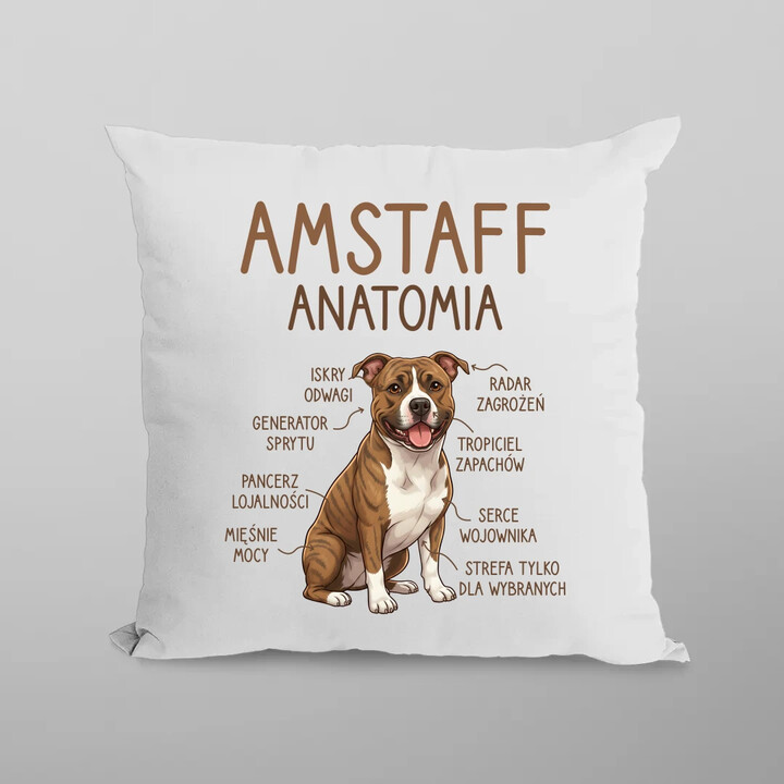 Amstaff anatomia - poduszka na prezent