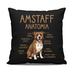 Amstaff anatomia - czarna poduszka na prezent