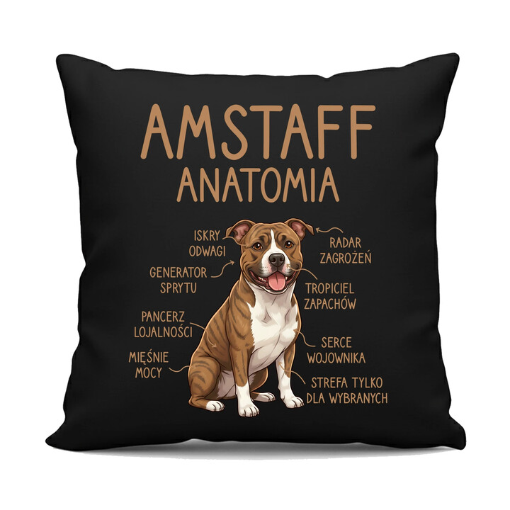 Amstaff anatomia - czarna poduszka na prezent