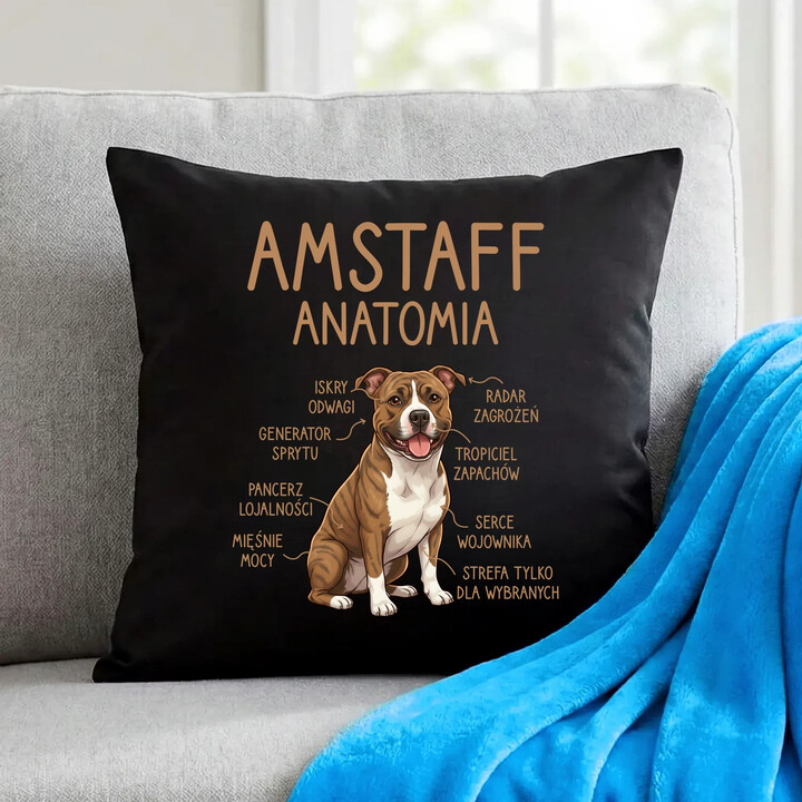 Amstaff anatomia - czarna poduszka na prezent
