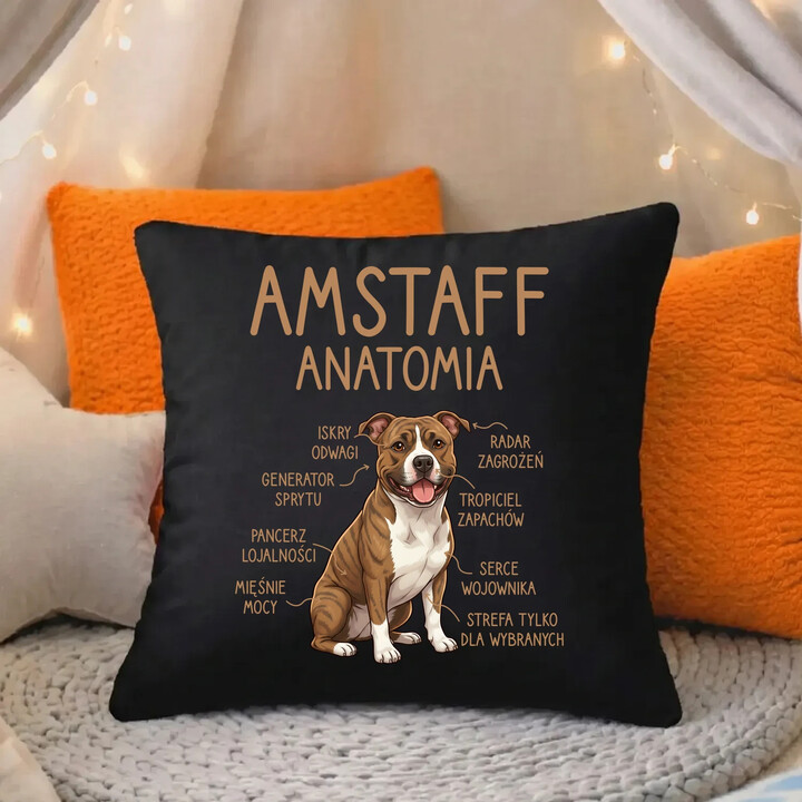 Amstaff anatomia - czarna poduszka na prezent