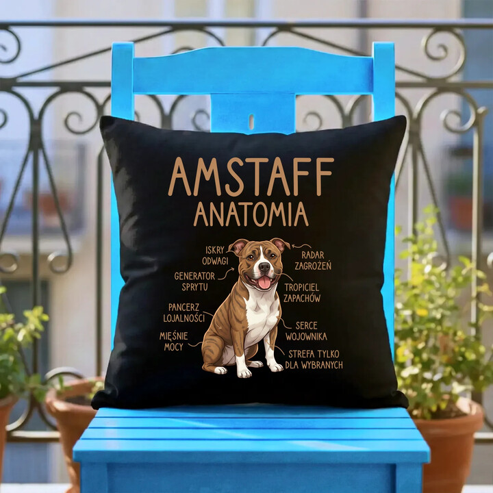 Amstaff anatomia - czarna poduszka na prezent