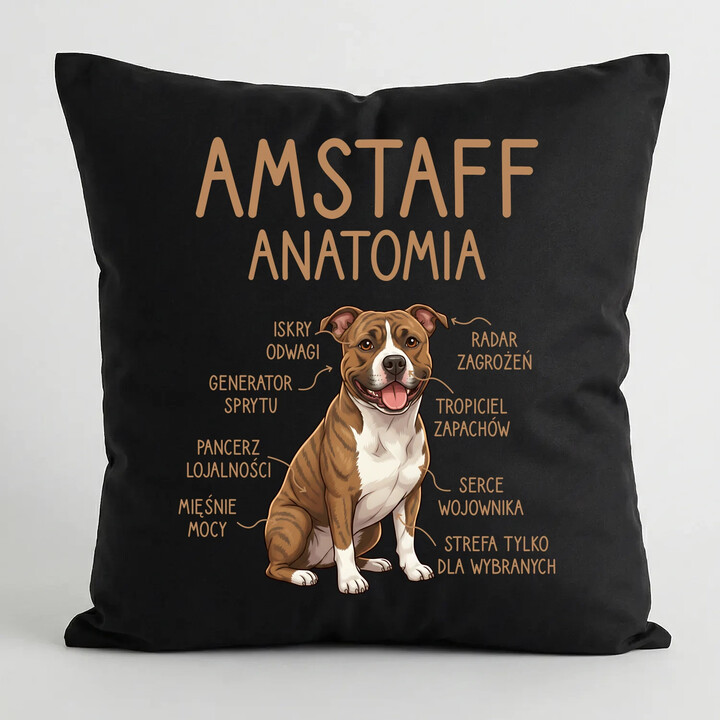 Amstaff anatomia - czarna poduszka na prezent
