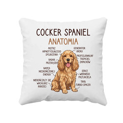 Cocker Spaniel anatomia - poduszka na prezent