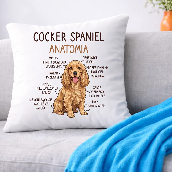 Cocker Spaniel anatomia - poduszka na prezent