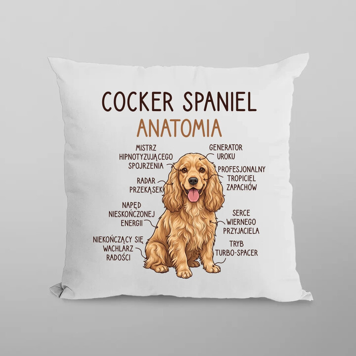 Cocker Spaniel anatomia - poduszka na prezent