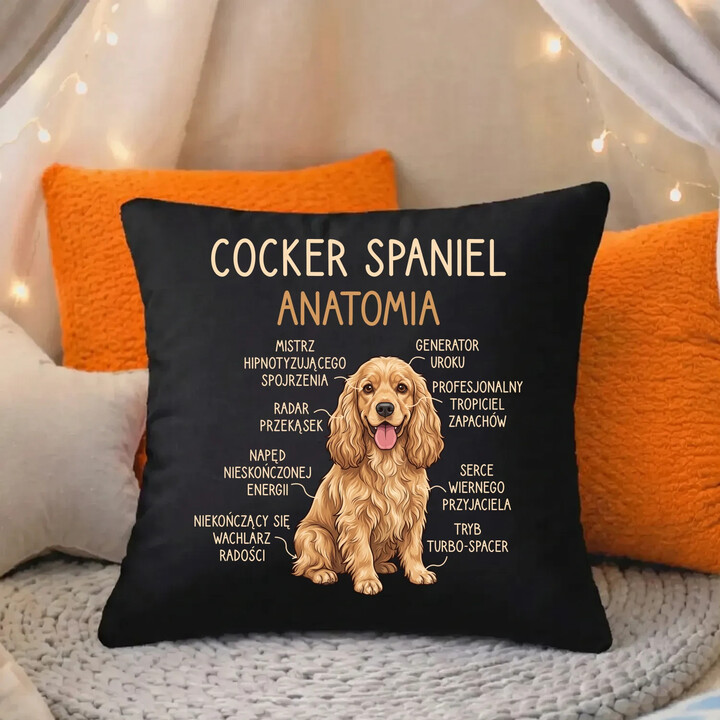 Cocker Spaniel anatomia - czarna poduszka na prezent