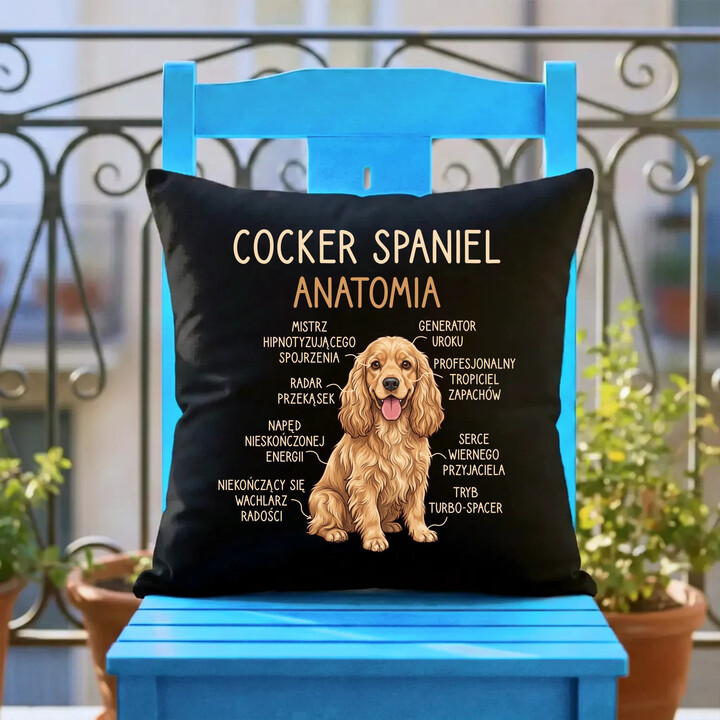 Cocker Spaniel anatomia - czarna poduszka na prezent