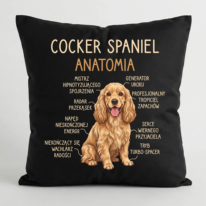 Cocker Spaniel anatomia - czarna poduszka na prezent