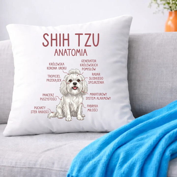 Shih Tzu  anatomia - poduszka na prezent