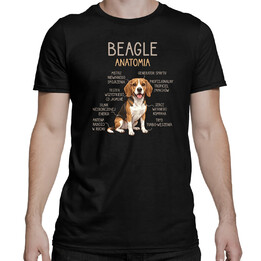 Beagle - anatomia - męska koszulka na prezent
