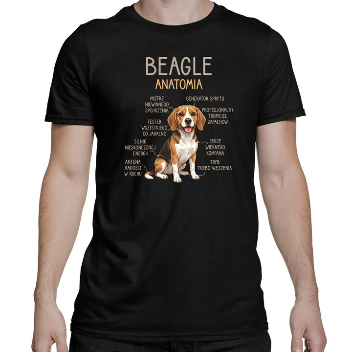 Beagle - anatomia - męska koszulka na prezent