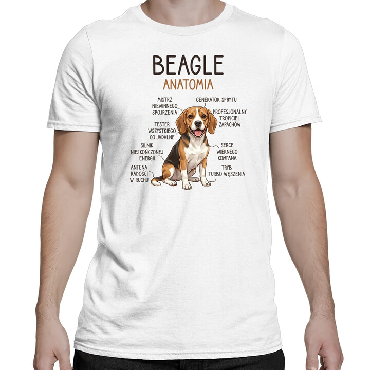 Beagle - anatomia - męska koszulka na prezent