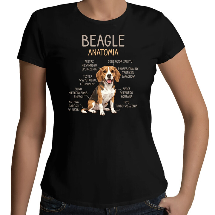 Beagle - anatomia - damska koszulka na prezent