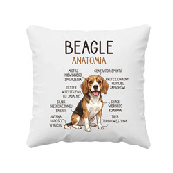 Beagle - anatomia - poduszka na prezent