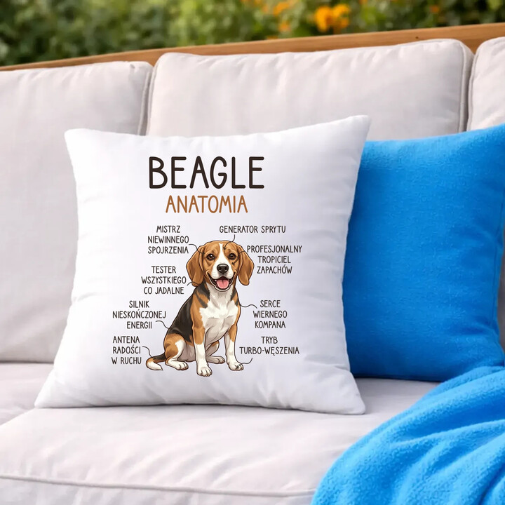 Beagle - anatomia - poduszka na prezent