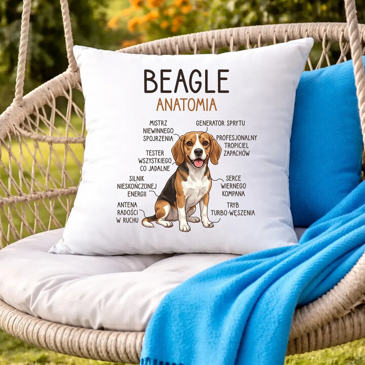 Beagle - anatomia - poduszka na prezent