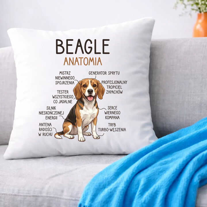 Beagle - anatomia - poduszka na prezent
