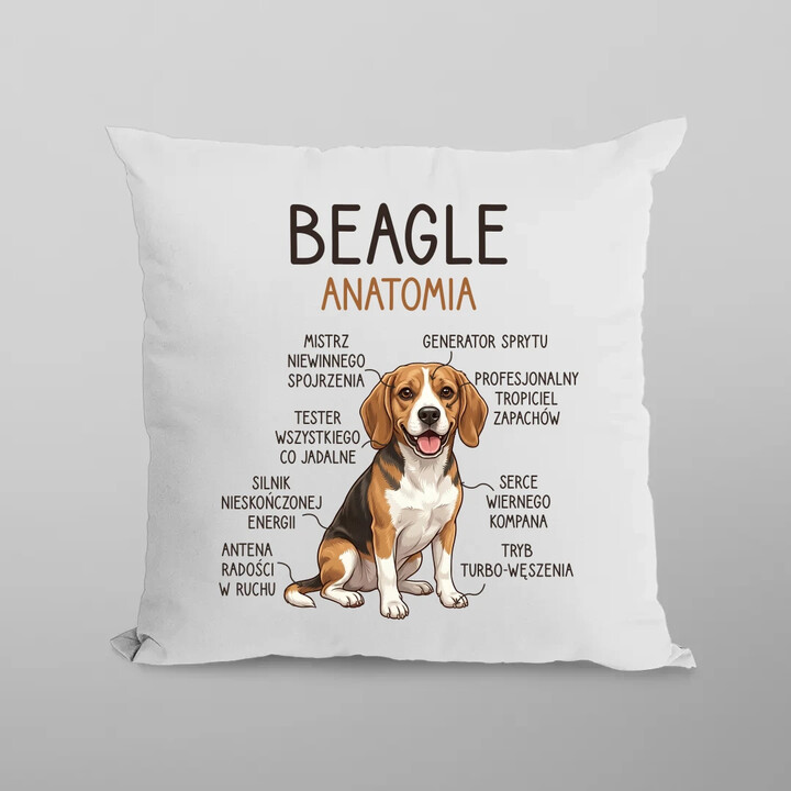 Beagle - anatomia - poduszka na prezent