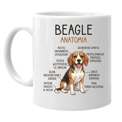 Beagle - anatomia - kubek na prezent