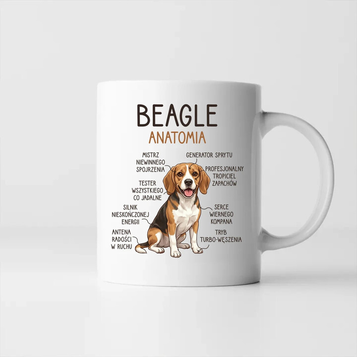 Beagle - anatomia - kubek na prezent