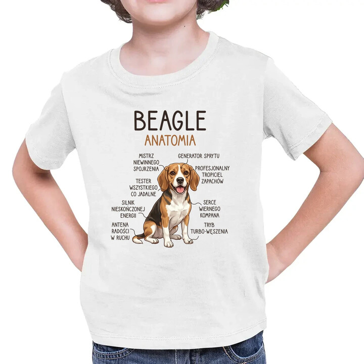 Beagle - anatomia - dziecięca koszulka na prezent