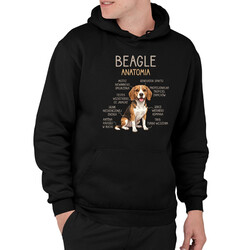 Beagle - anatomia - męska bluza na prezent