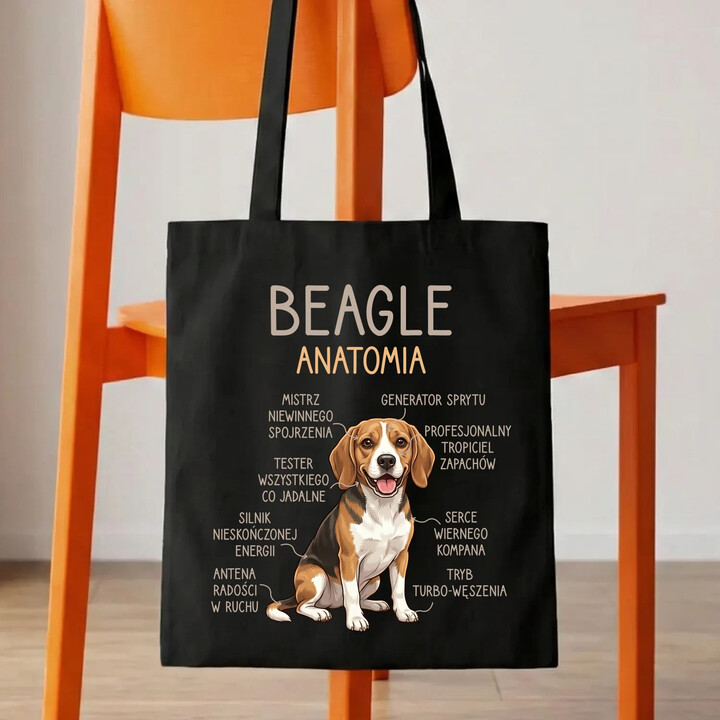 Beagle - anatomia - torba na prezent