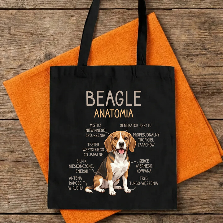 Beagle - anatomia - torba na prezent